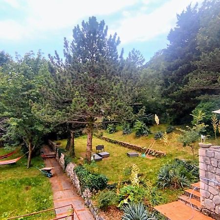 Amazing Sea-Mountain Valley View House With 3 Terraces And Huge Chill Gardens, 5Min From The Sea! Bribir  Exterior foto